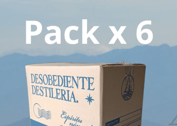 Pack x 6 Gin desobediente
